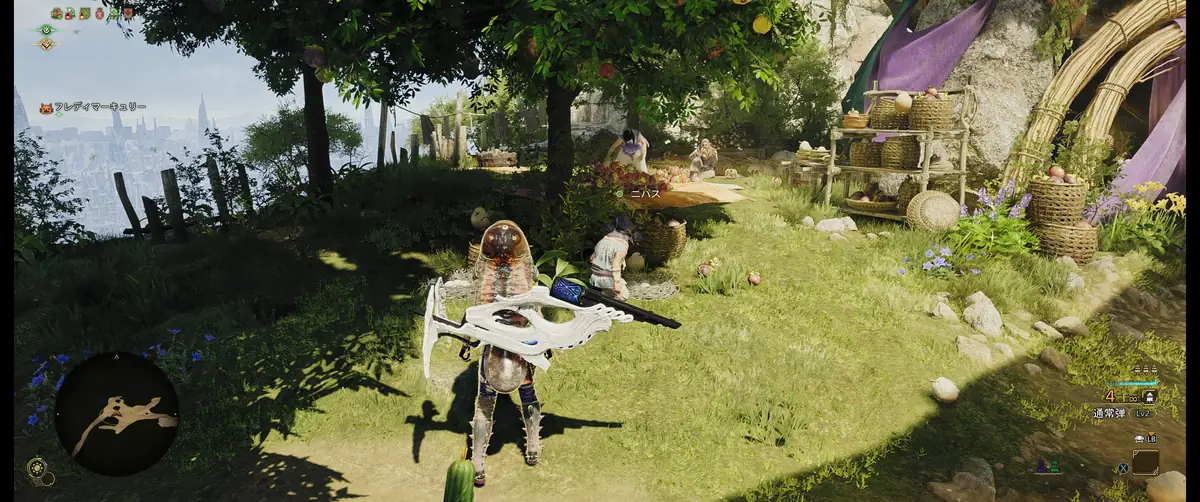 モンハンワイルズ 影の品質 中