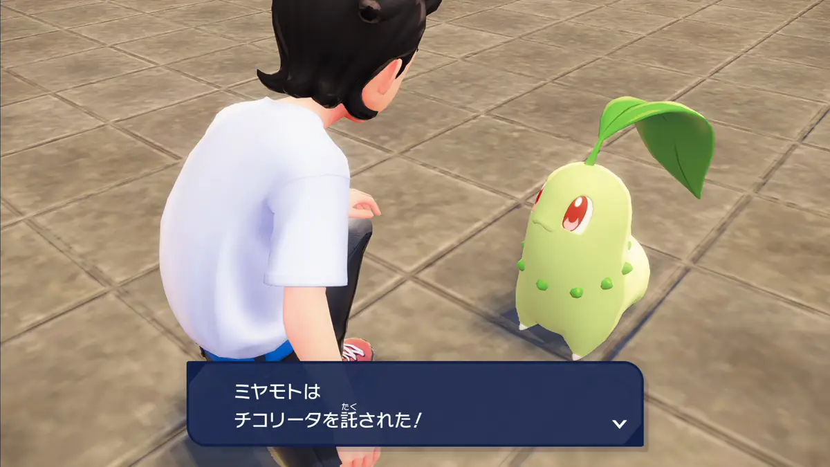 ポケモンZA 最初の一匹 チコリータ