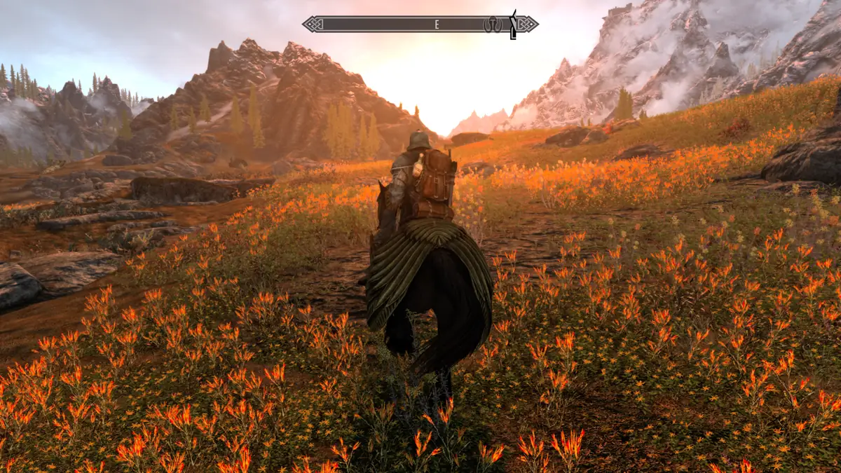 スカイリムAE 画質の不具合