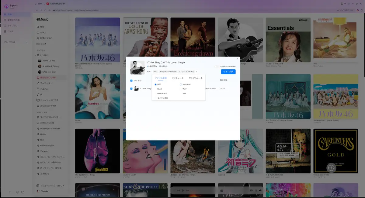 TopVoxオールインワン音楽変換 音楽の変換画面